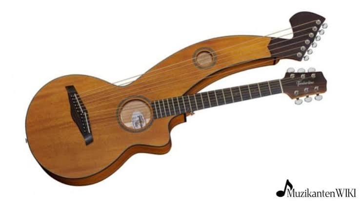 harpgitaar muzikantenwiki