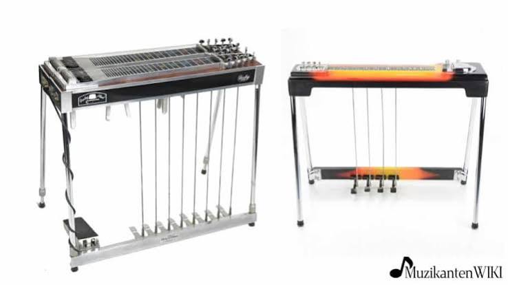 Pedalsteel gitaren met dubbele en enkele hals
