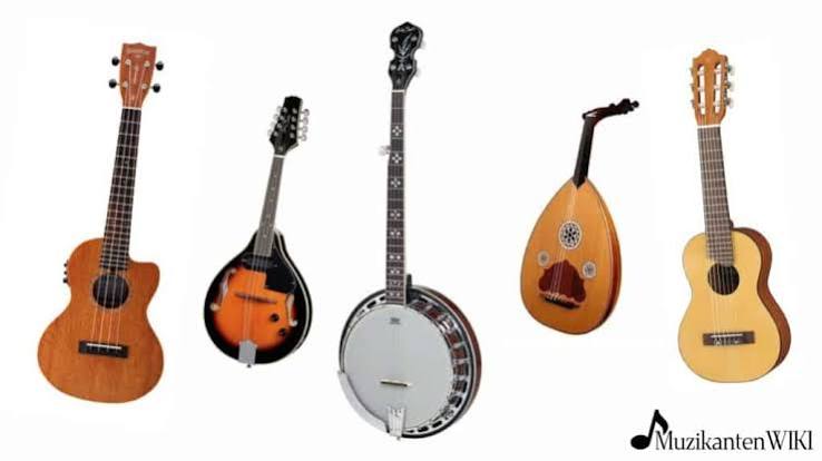 Ukelele, mandoline, banjo, luit en guitalele
