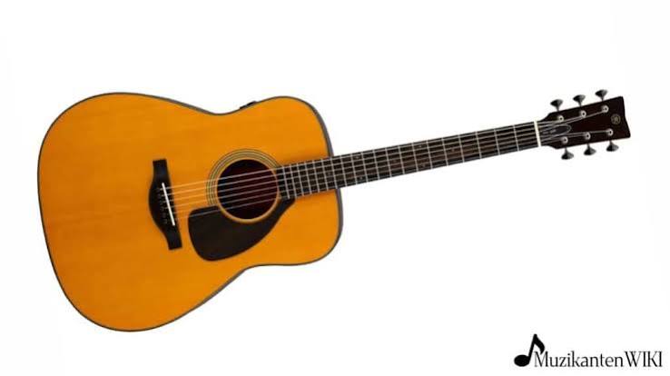 Akoestische western gitaar